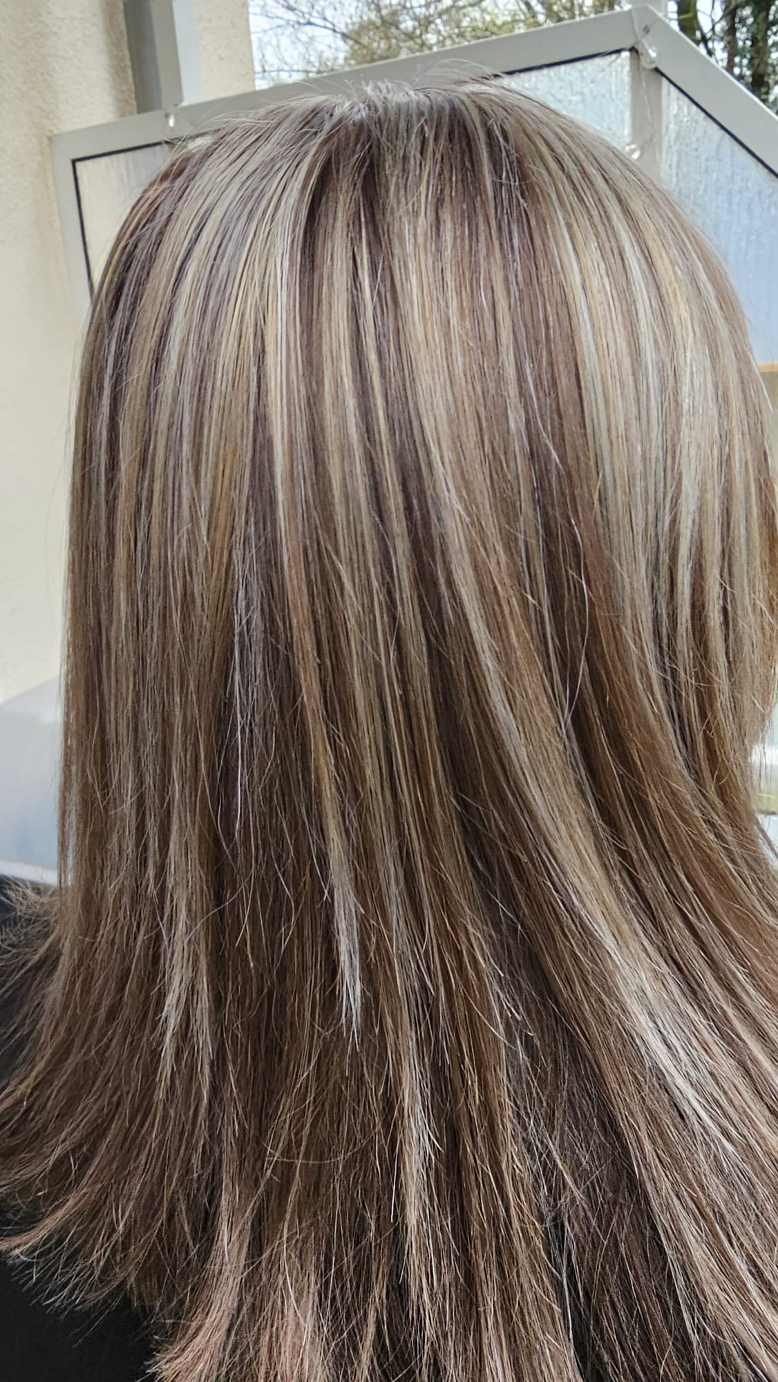 Balayage Bielefeld Vorher