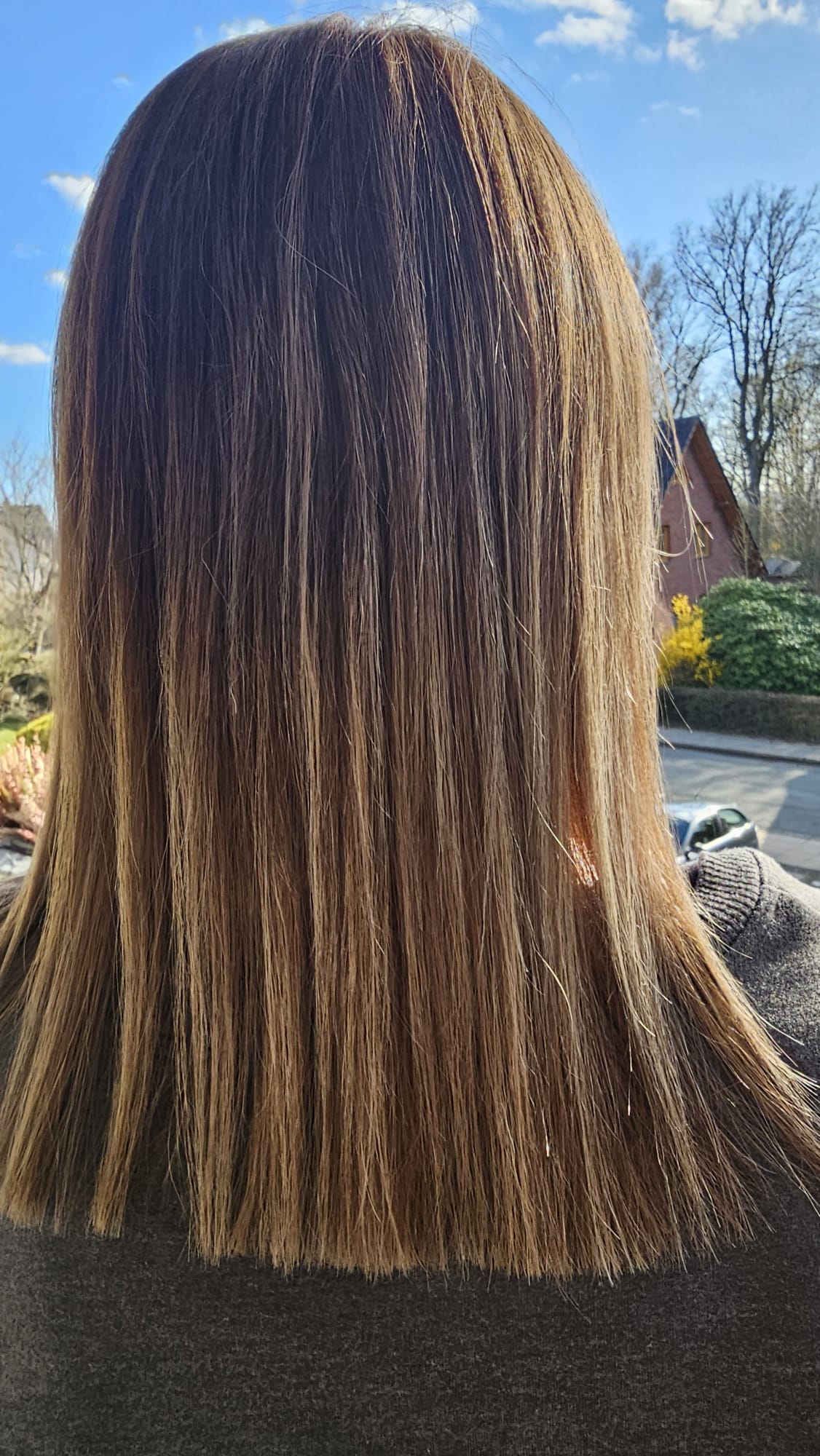 Balayage Bielefeld Nachher